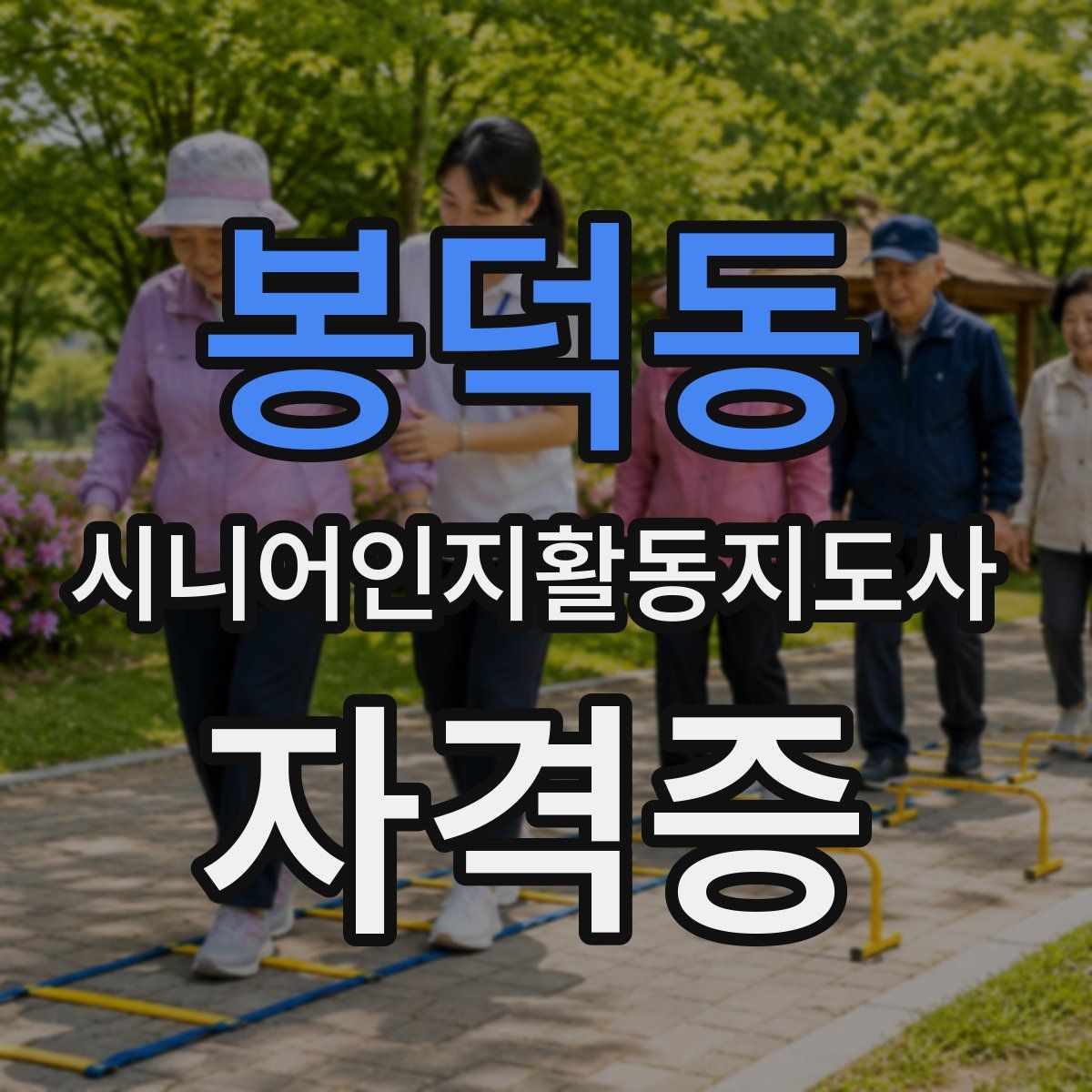 봉덕동 시니어인지활동지도사 자격증