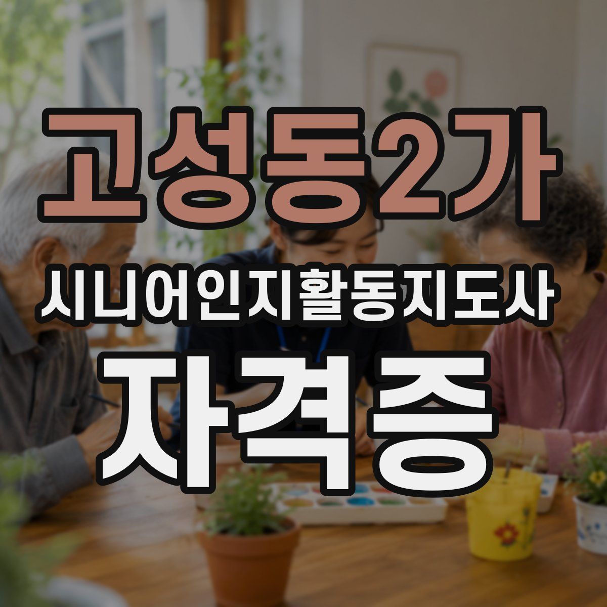 고성동2가 시니어인지활동지도사 자격증