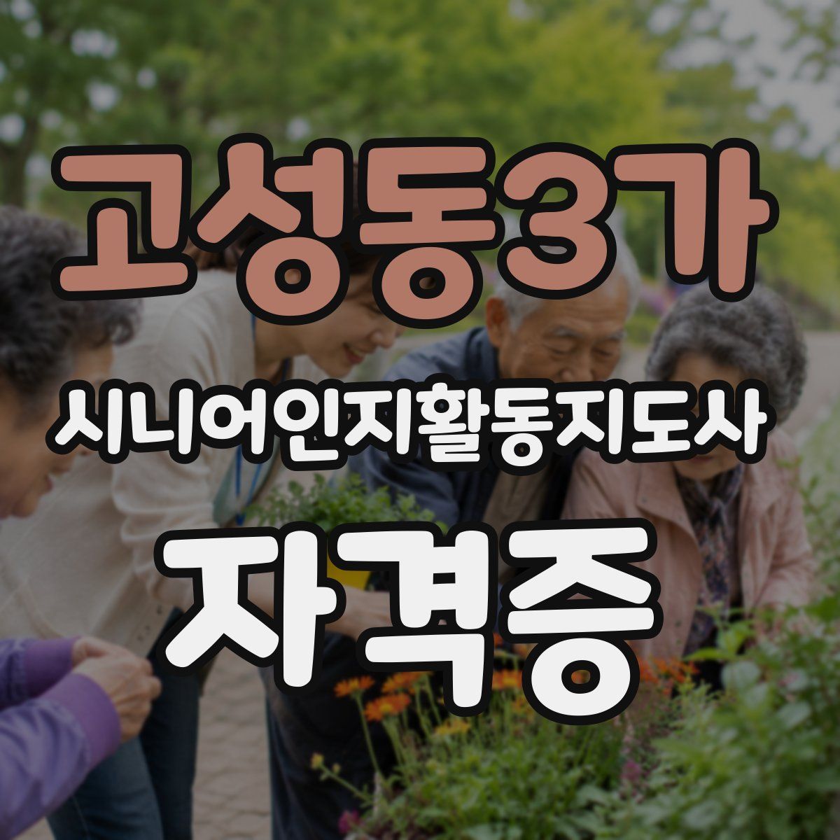 고성동3가 시니어인지활동지도사 자격증