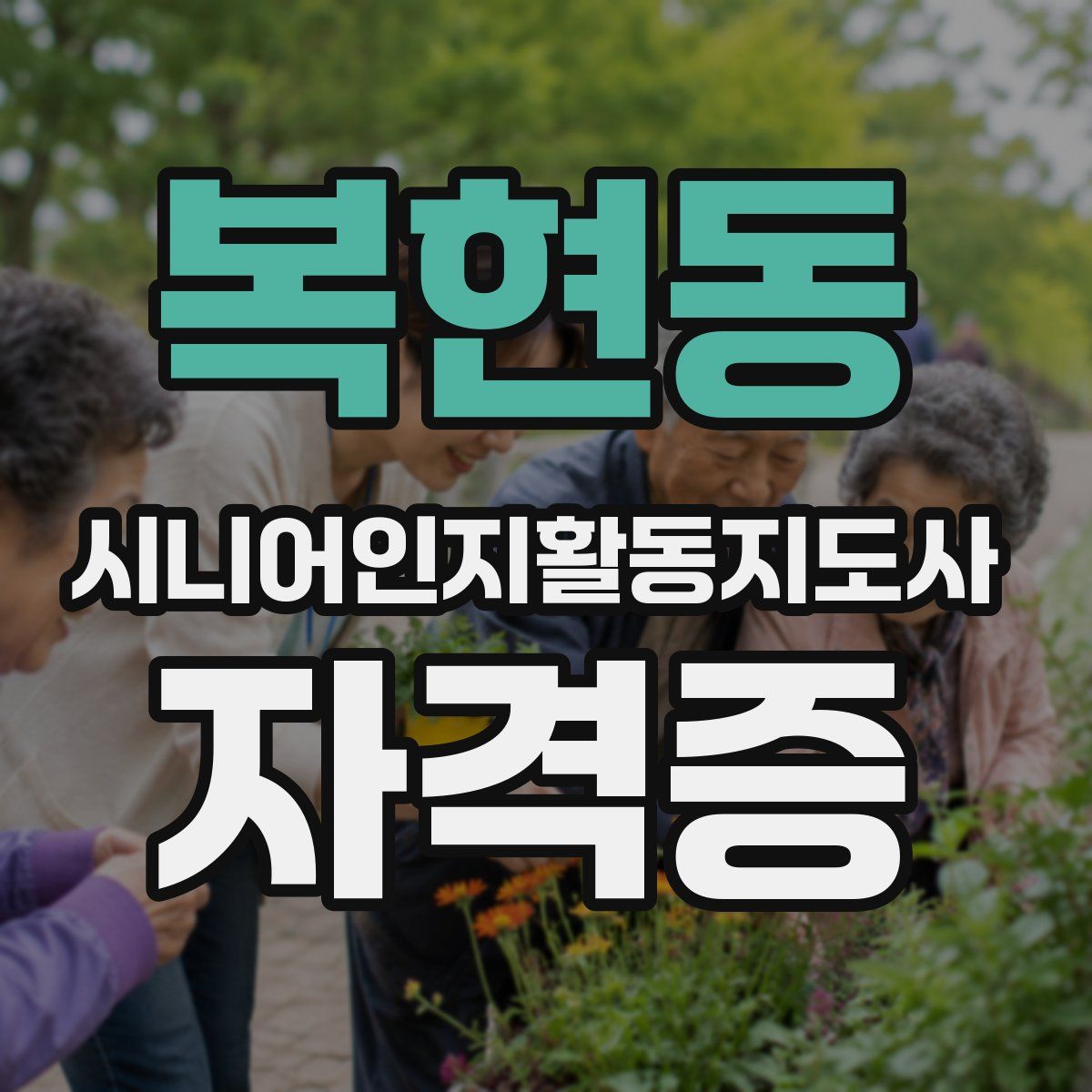 복현동 시니어인지활동지도사 자격증