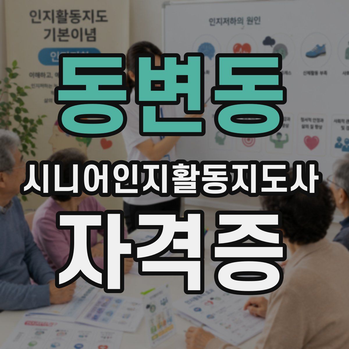 동변동 시니어인지활동지도사 자격증