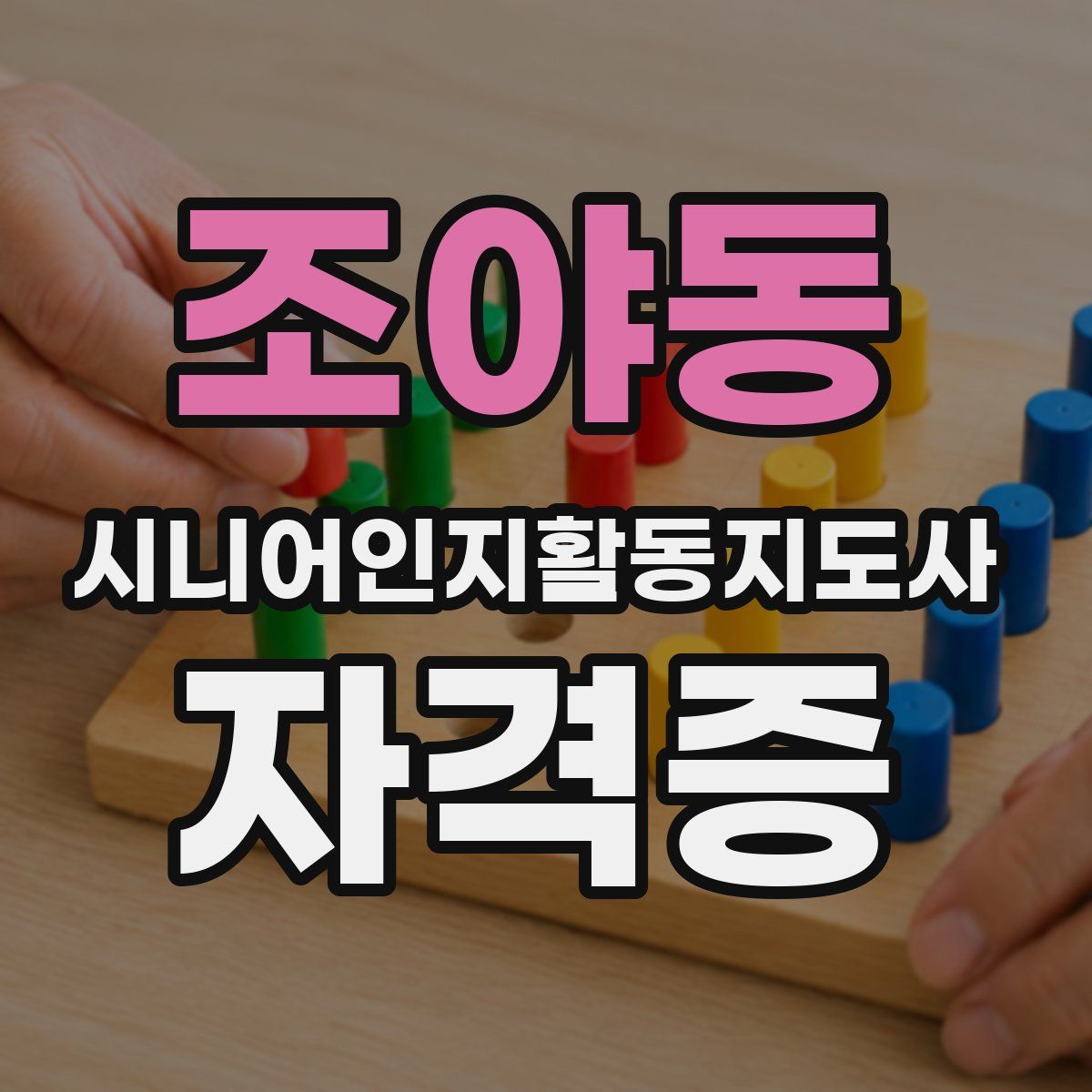조야동 시니어인지활동지도사 자격증