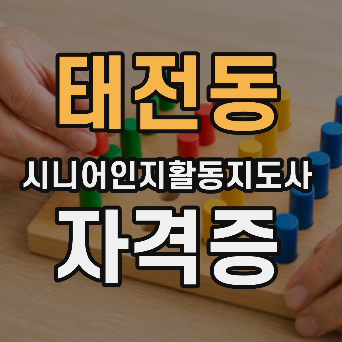 태전동 시니어인지활동지도사 자격증