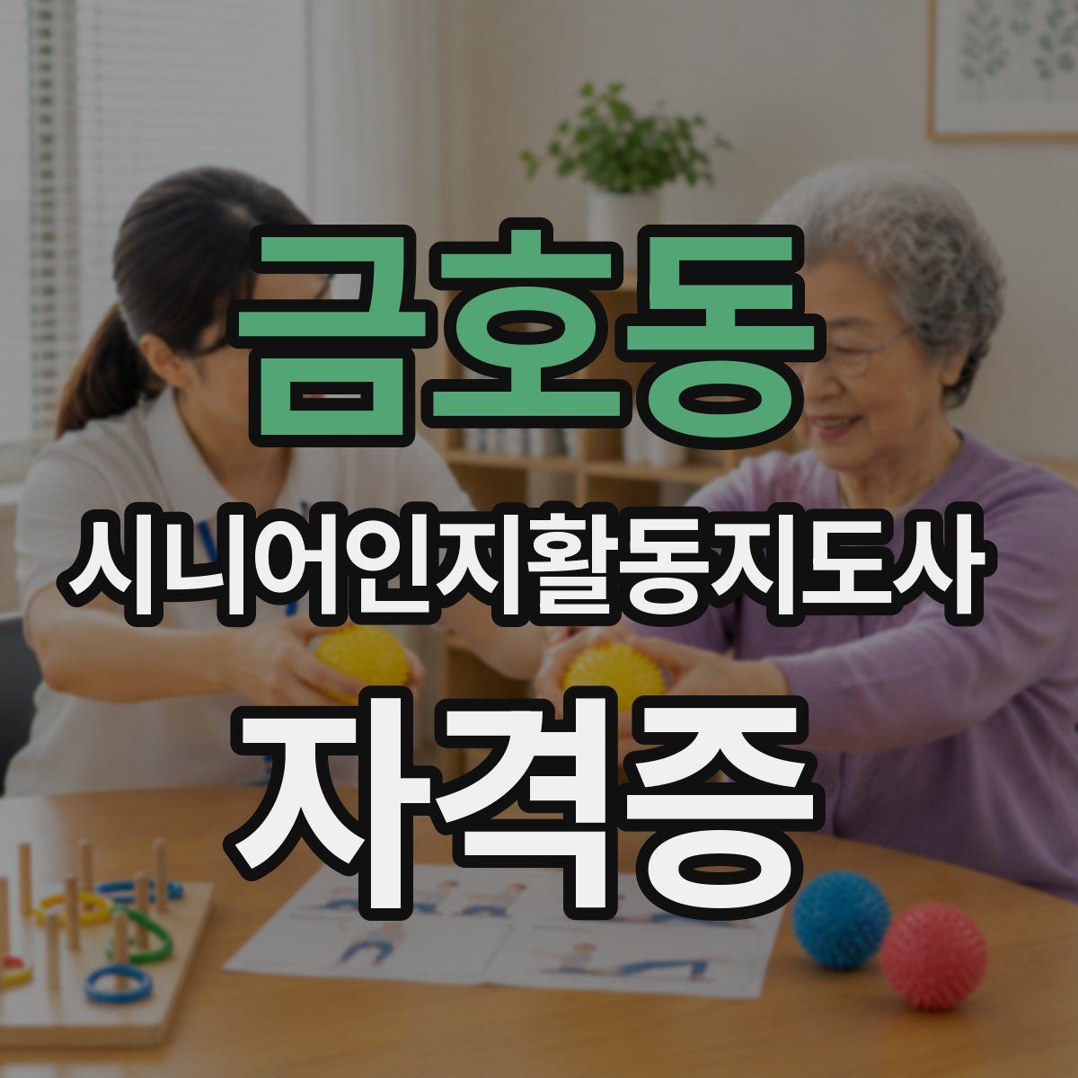 금호동 시니어인지활동지도사 자격증