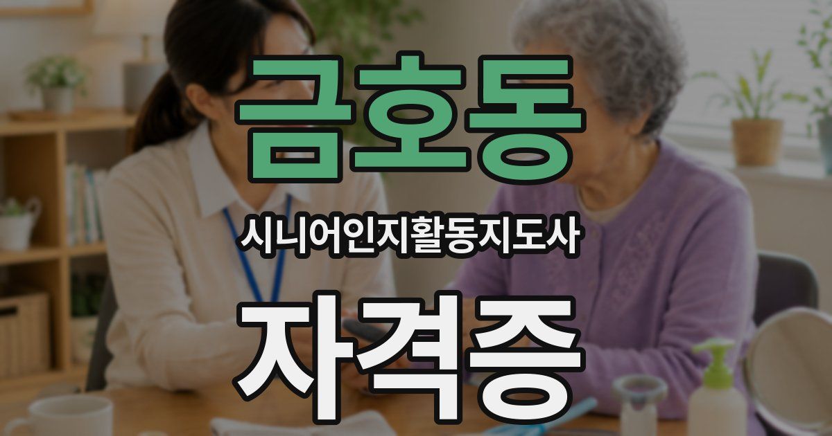 금호동 시니어인지활동지도사 자격증