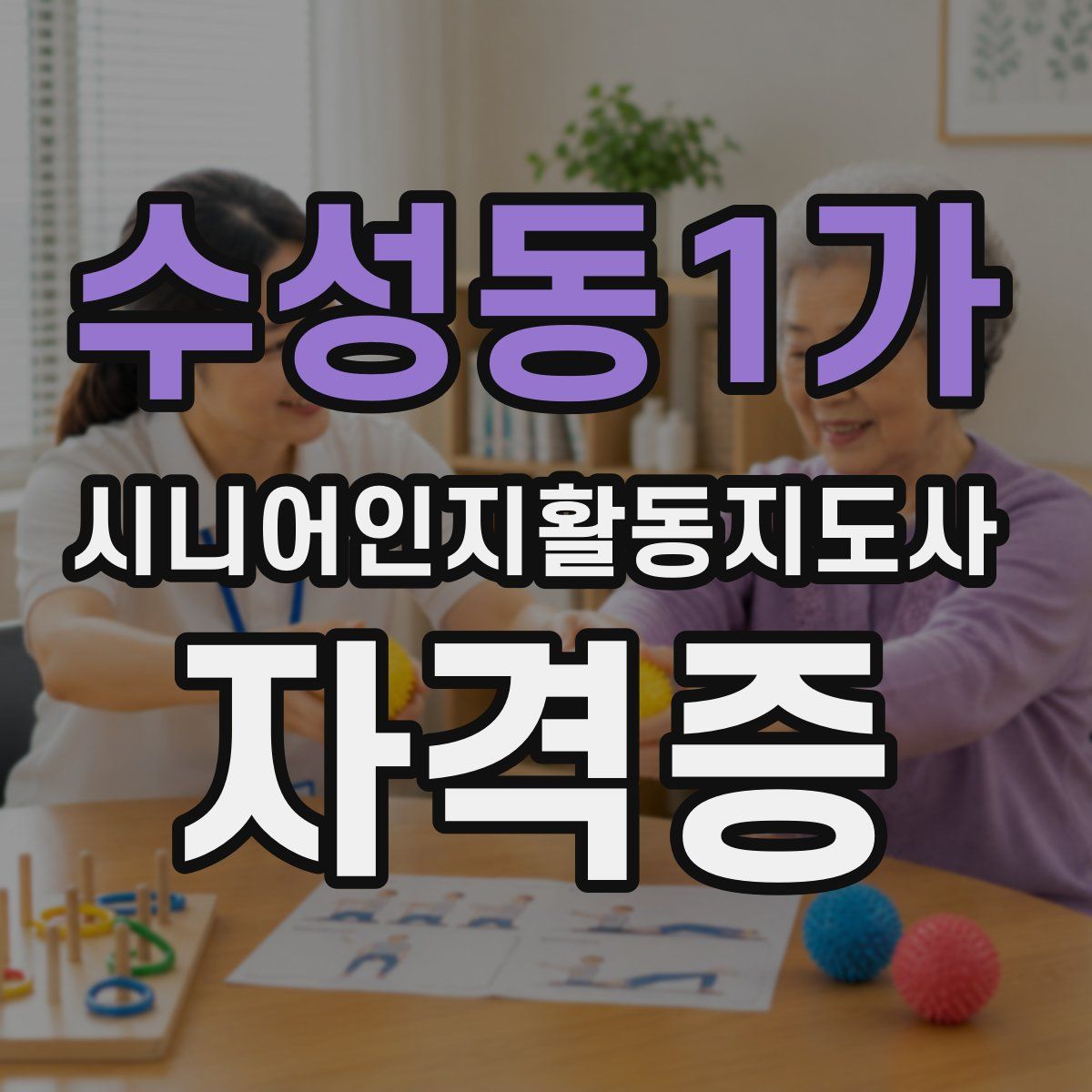 수성동1가 시니어인지활동지도사 자격증