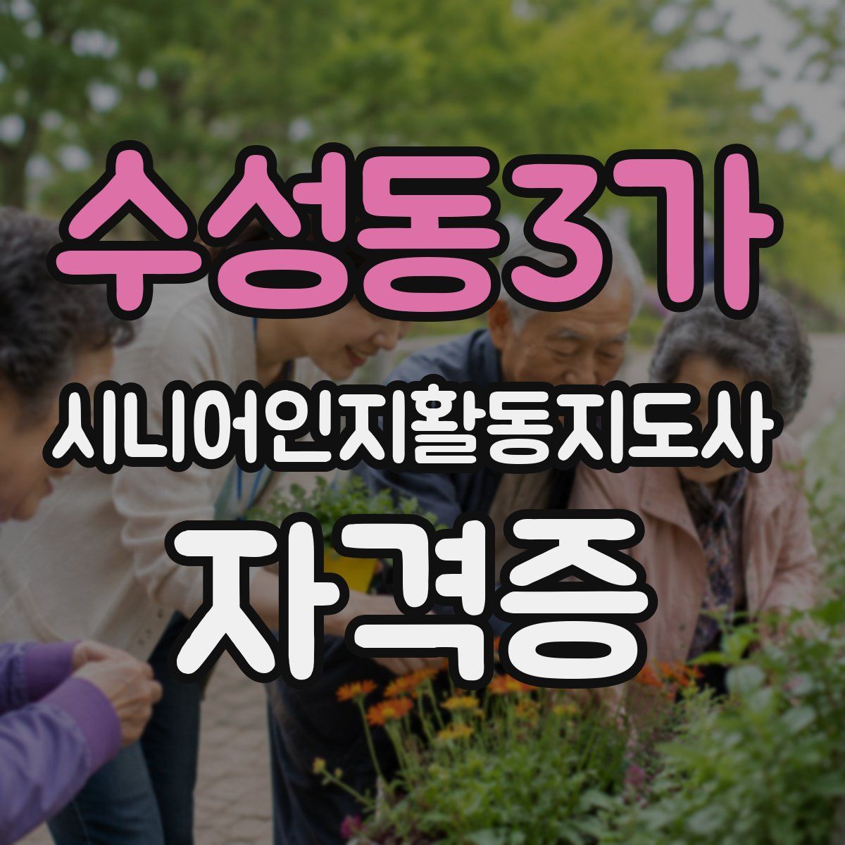 수성동3가 시니어인지활동지도사 자격증