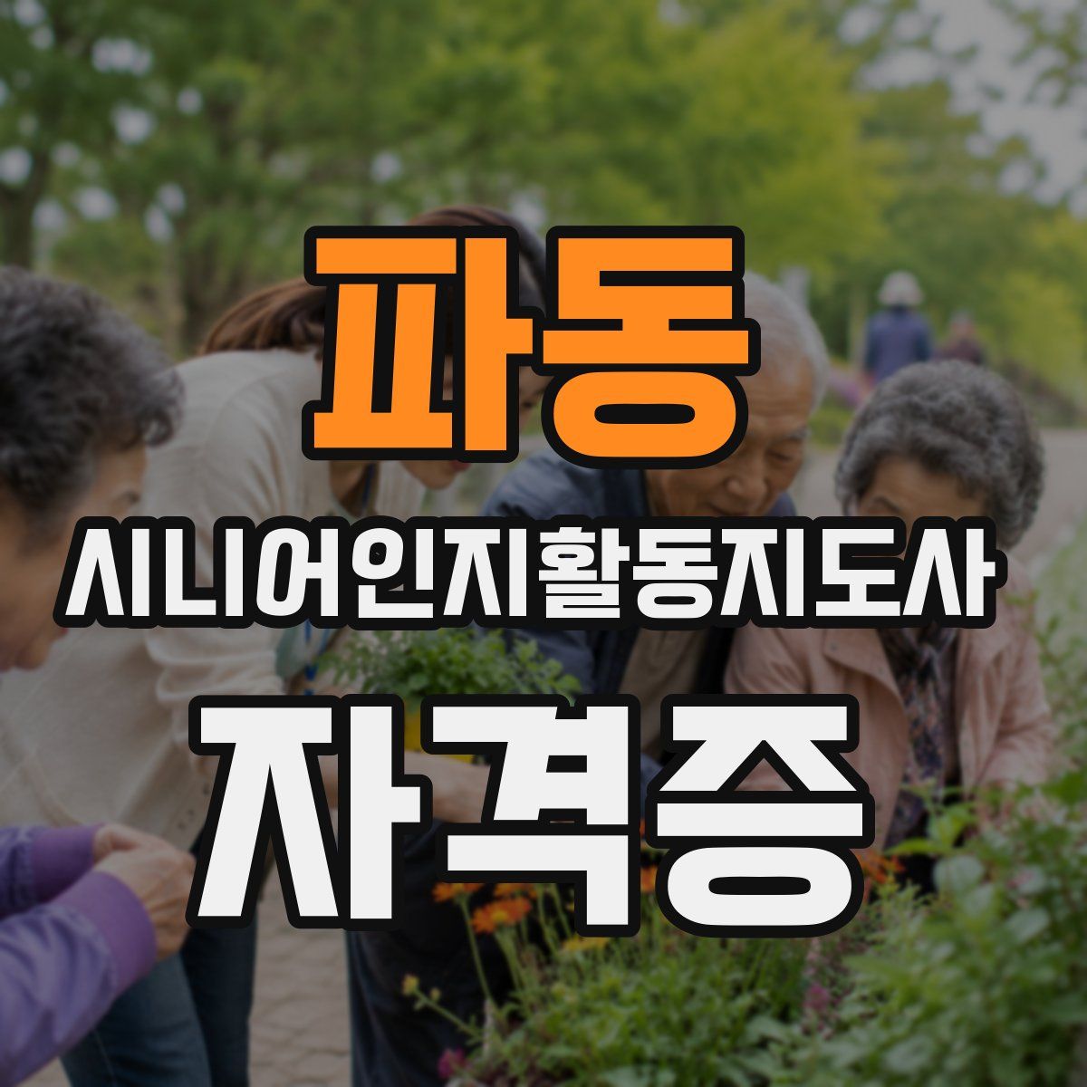 파동 시니어인지활동지도사 자격증