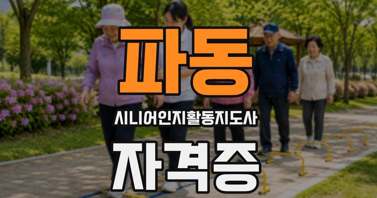 파동 시니어인지활동지도사 자격증