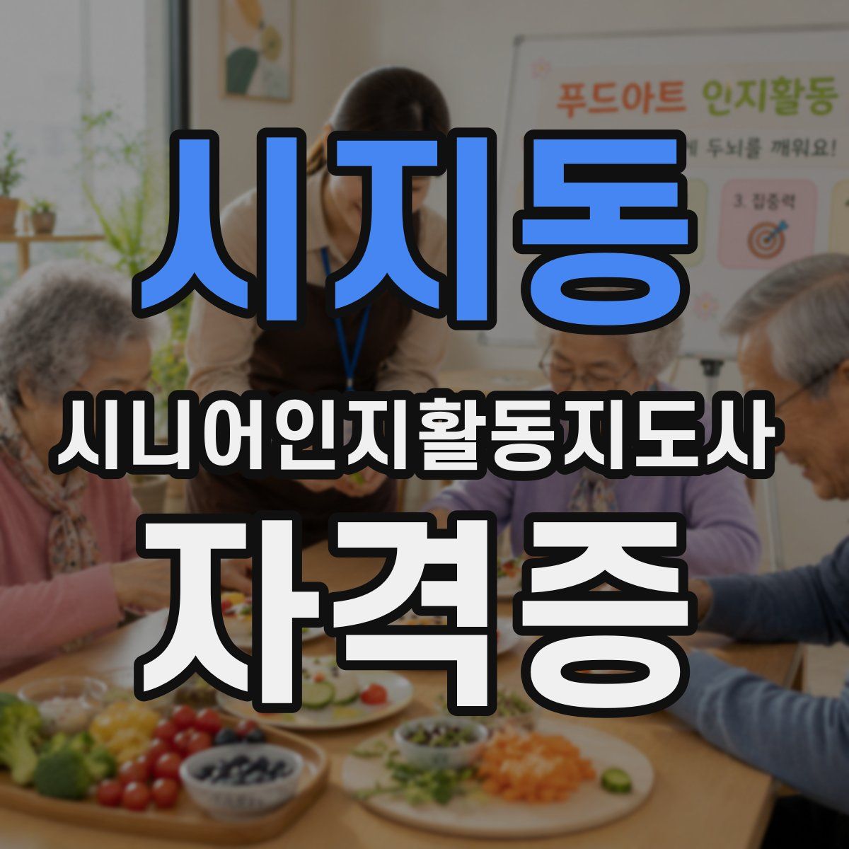 시지동 시니어인지활동지도사 자격증