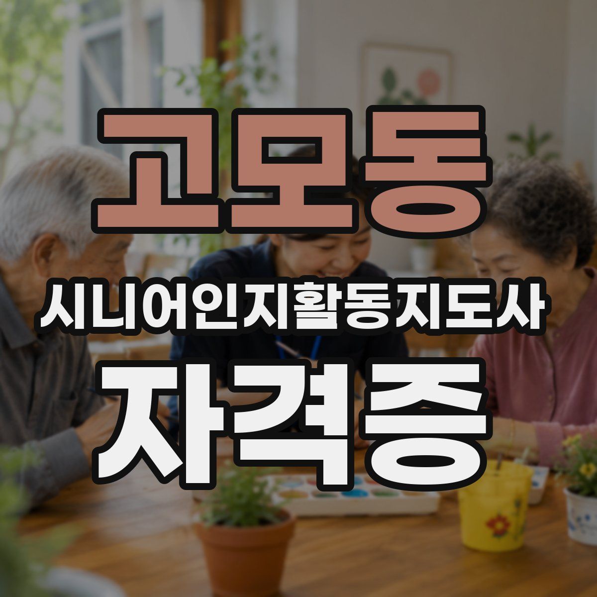 고모동 시니어인지활동지도사 자격증