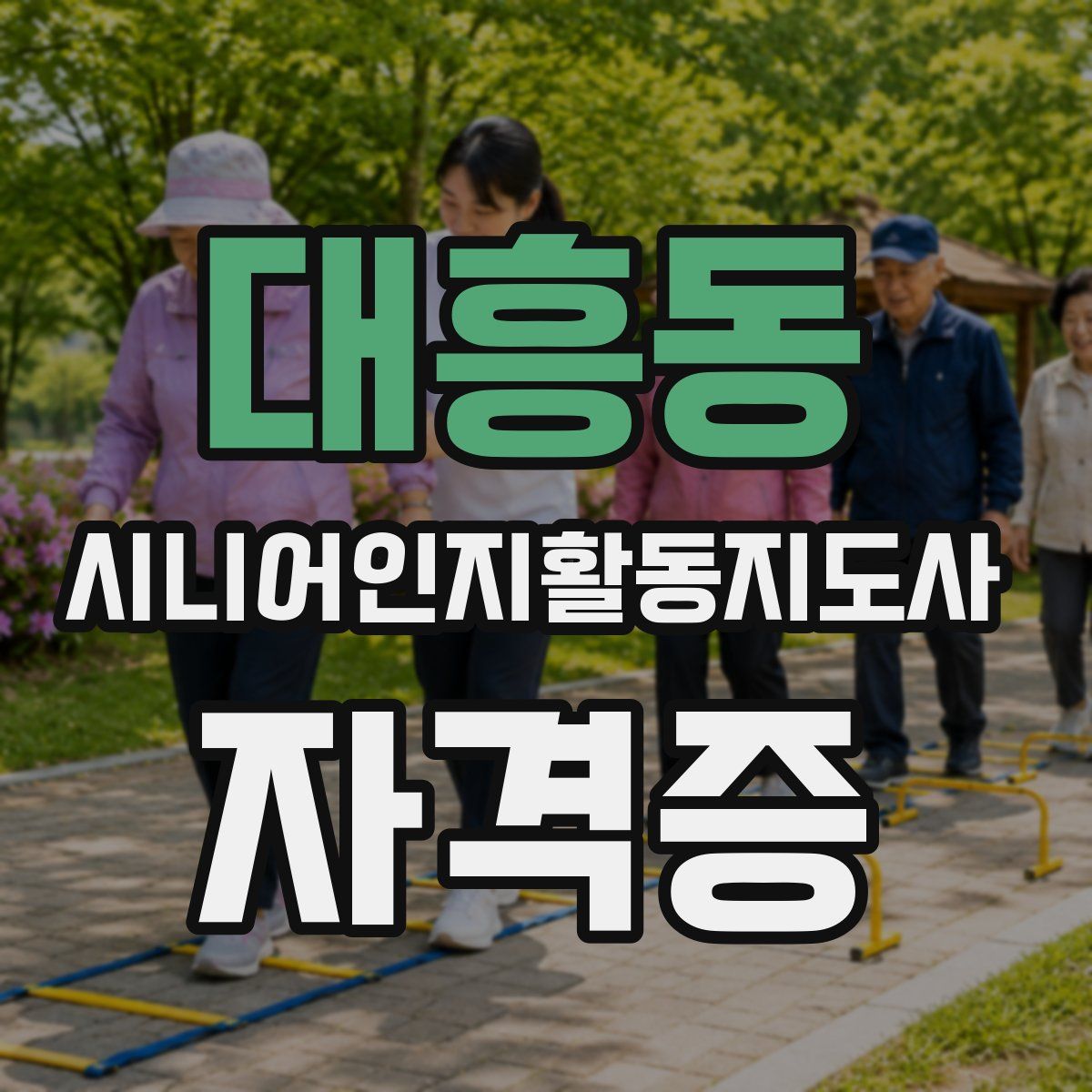 대흥동 시니어인지활동지도사 자격증