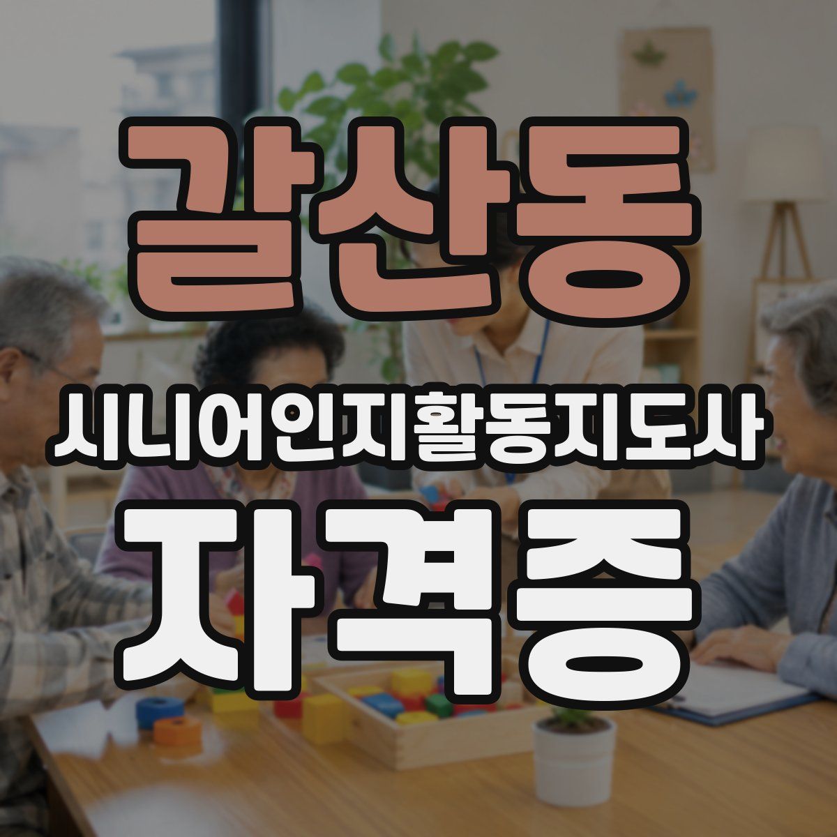 갈산동 시니어인지활동지도사 자격증