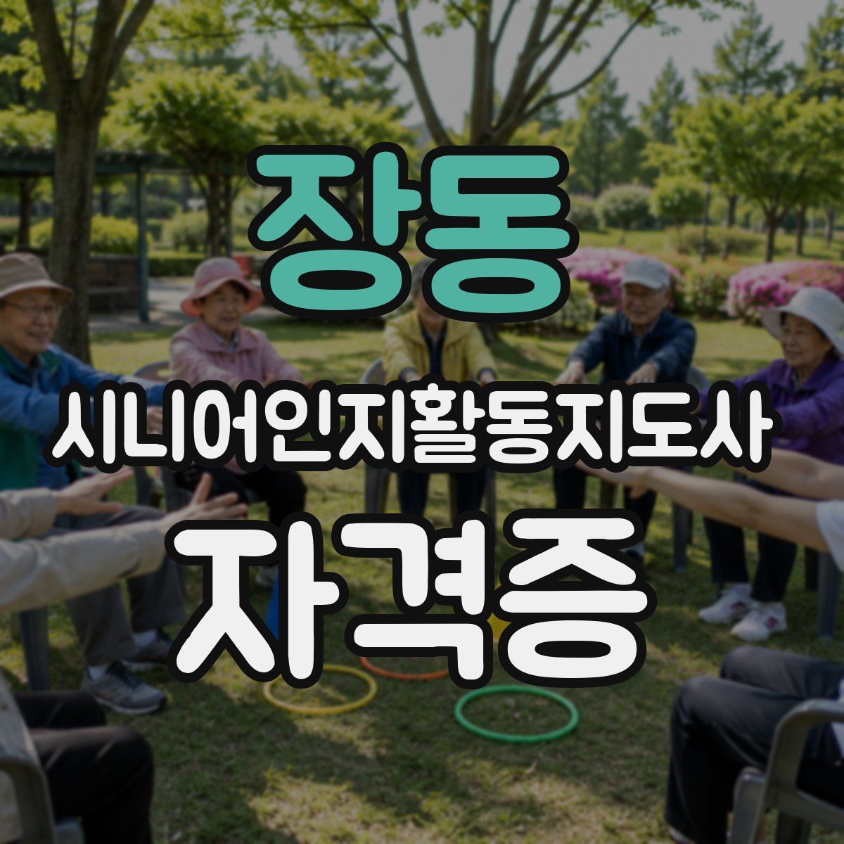 장동 시니어인지활동지도사 자격증