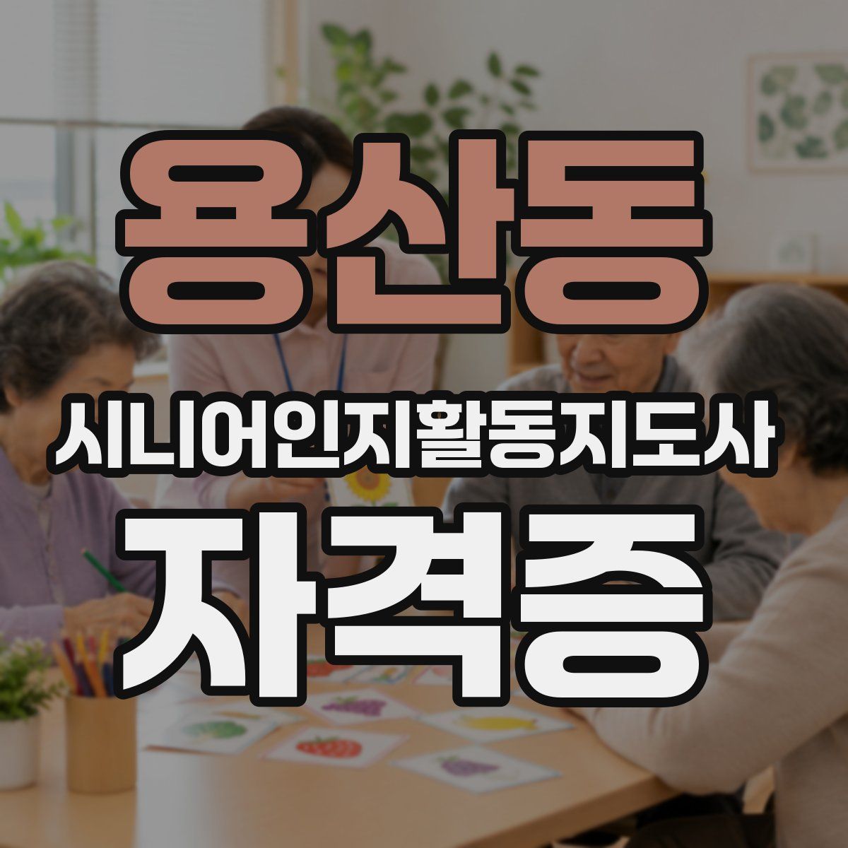 용산동 시니어인지활동지도사 자격증