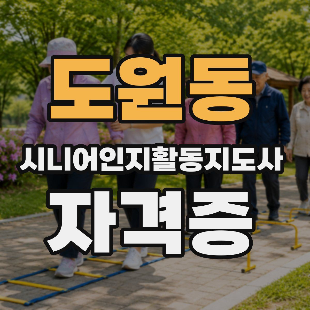 도원동 시니어인지활동지도사 자격증