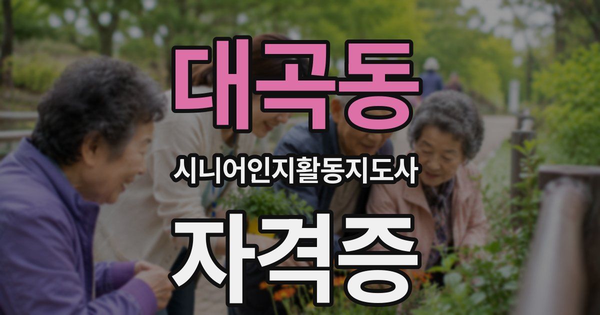 대곡동 시니어인지활동지도사 자격증