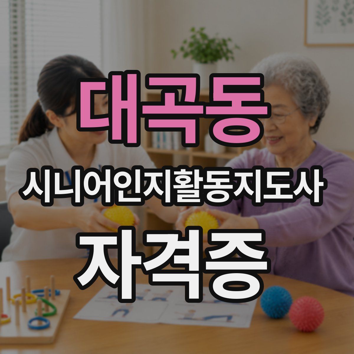 대곡동 시니어인지활동지도사 자격증