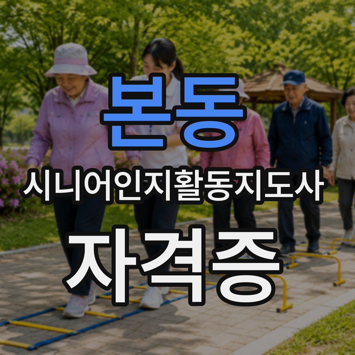 본동 시니어인지활동지도사 자격증