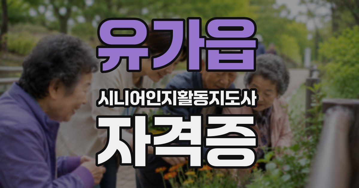 유가읍 시니어인지활동지도사 자격증