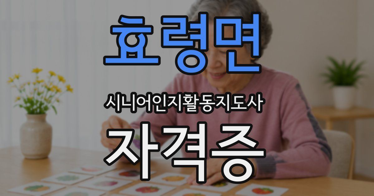 효령면 시니어인지활동지도사 자격증