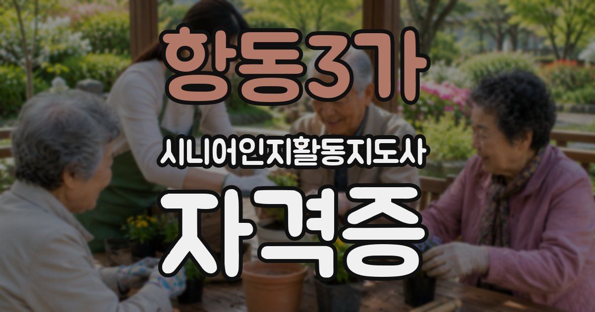 항동3가 시니어인지활동지도사 자격증