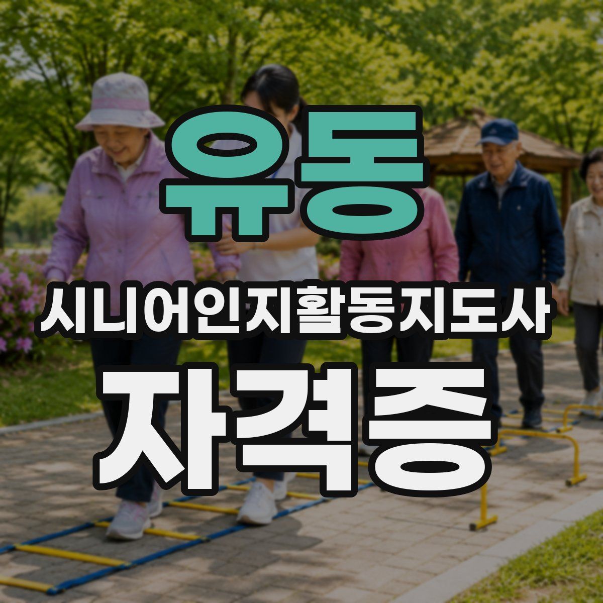 유동 시니어인지활동지도사 자격증