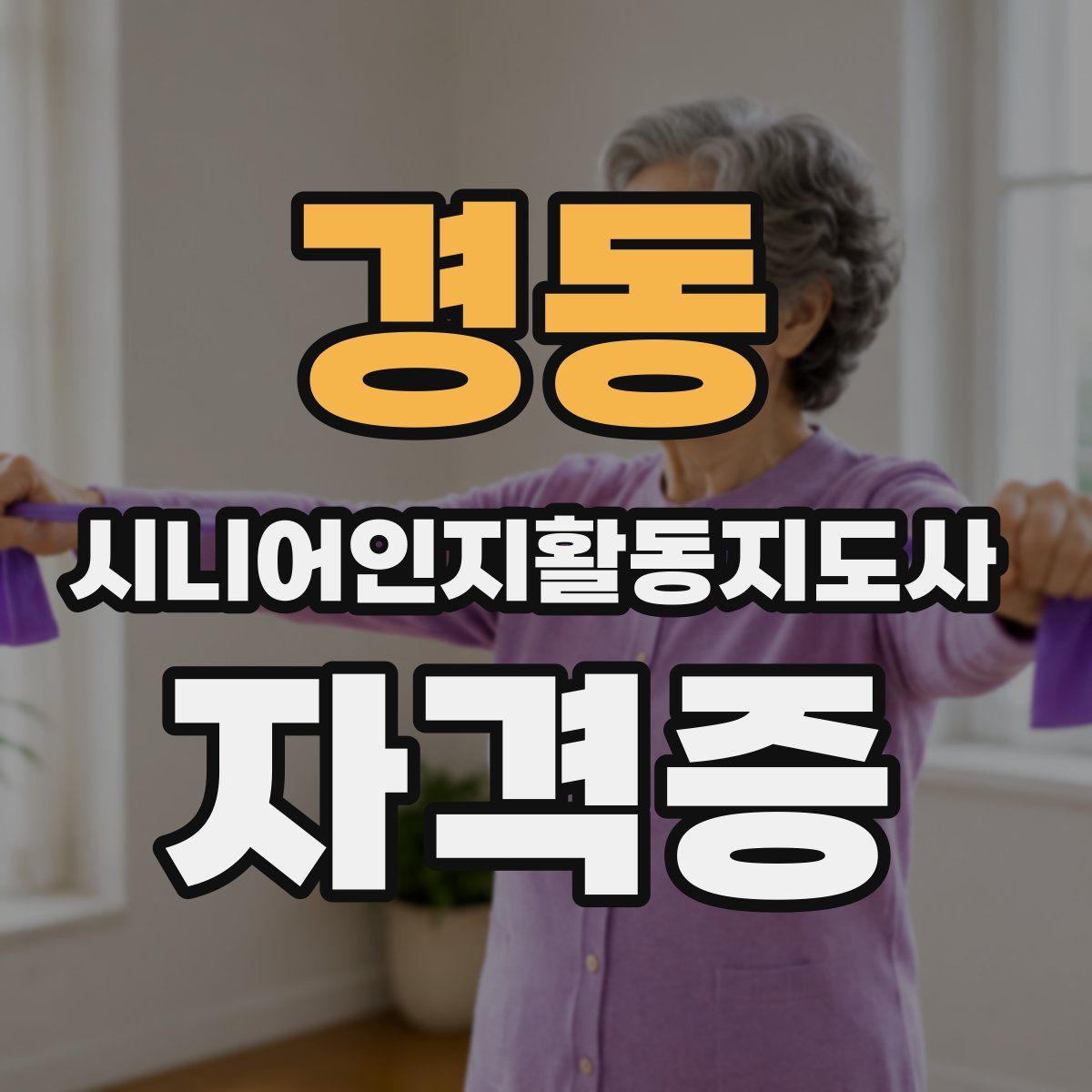 경동 시니어인지활동지도사 자격증