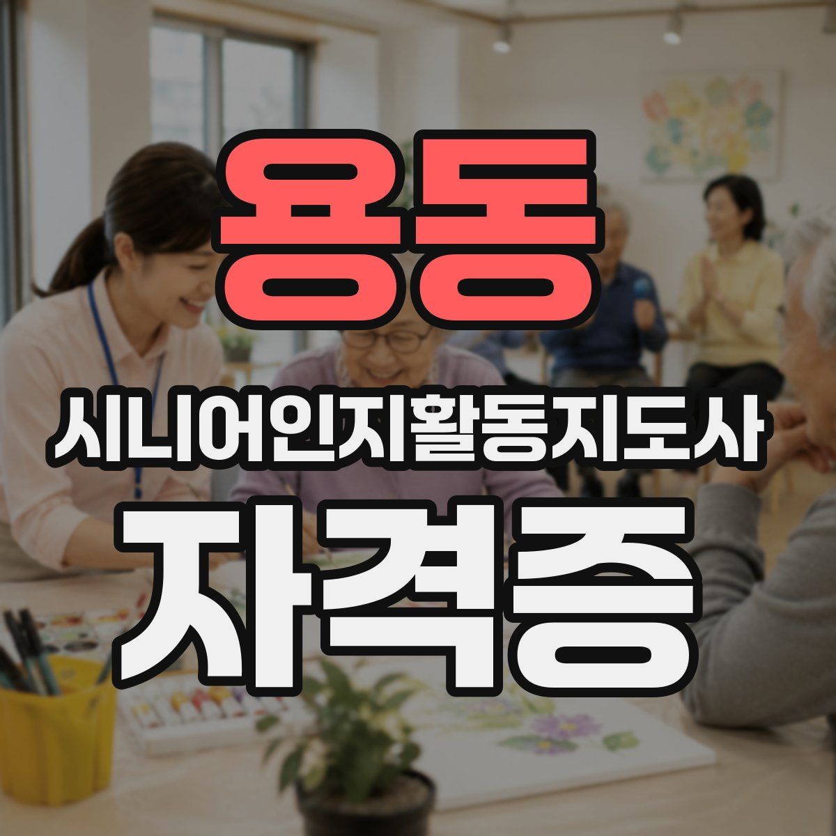 용동 시니어인지활동지도사 자격증
