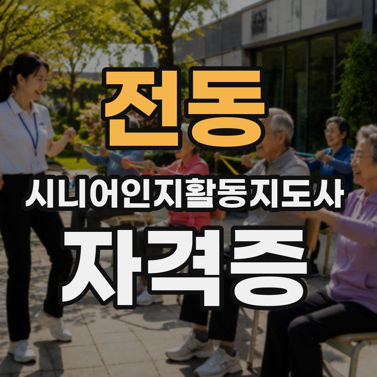 전동 시니어인지활동지도사 자격증