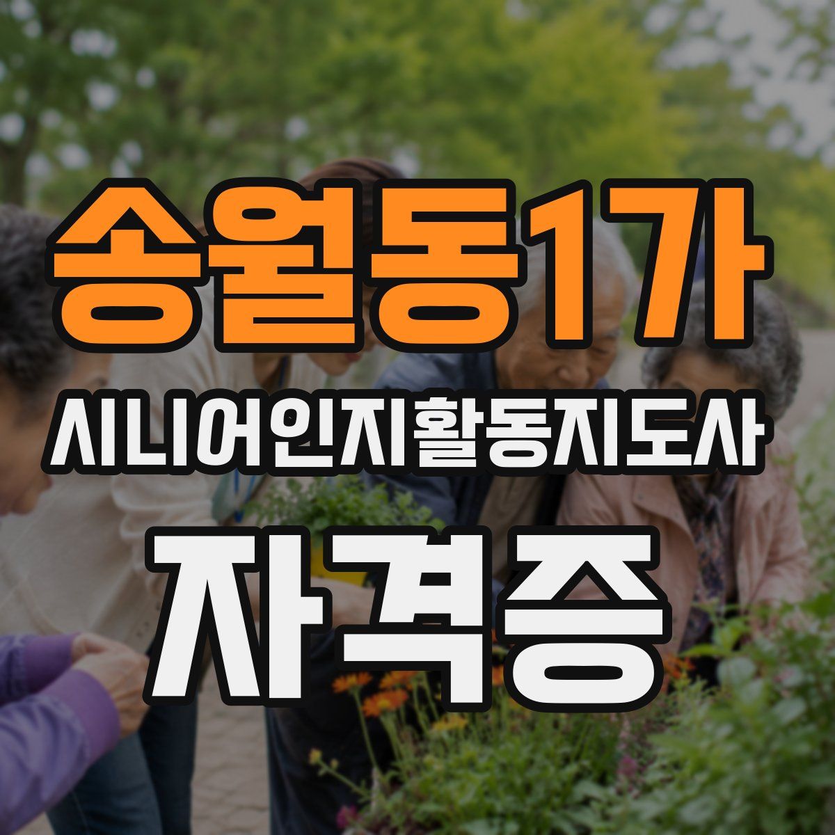 송월동1가 시니어인지활동지도사 자격증