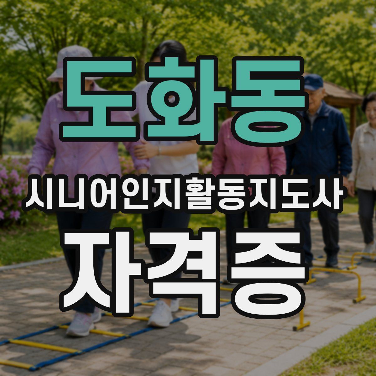 도화동 시니어인지활동지도사 자격증