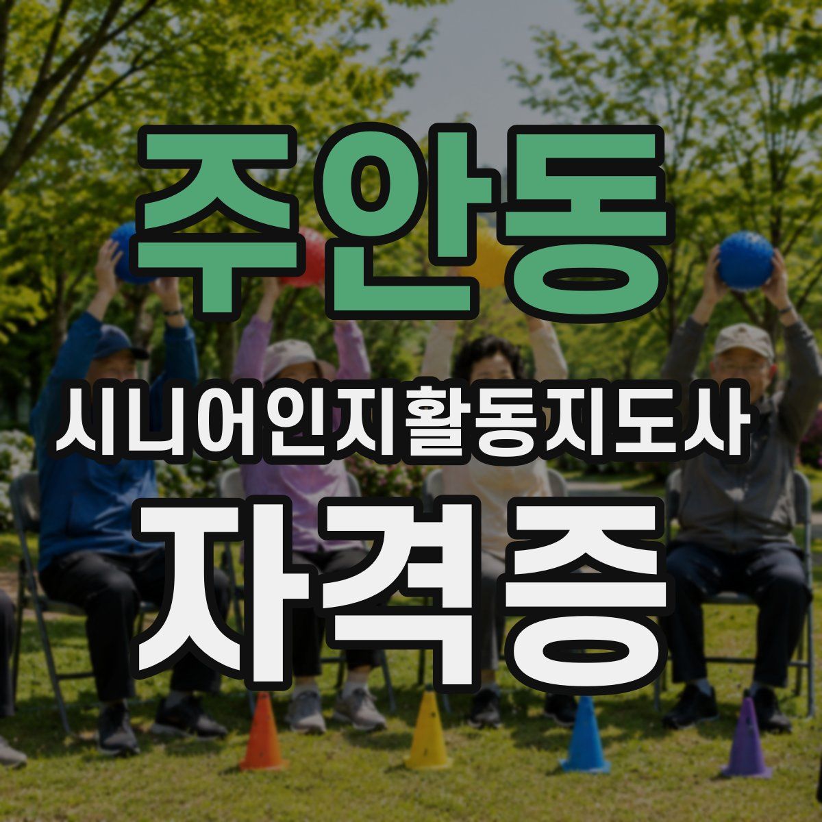 주안동 시니어인지활동지도사 자격증