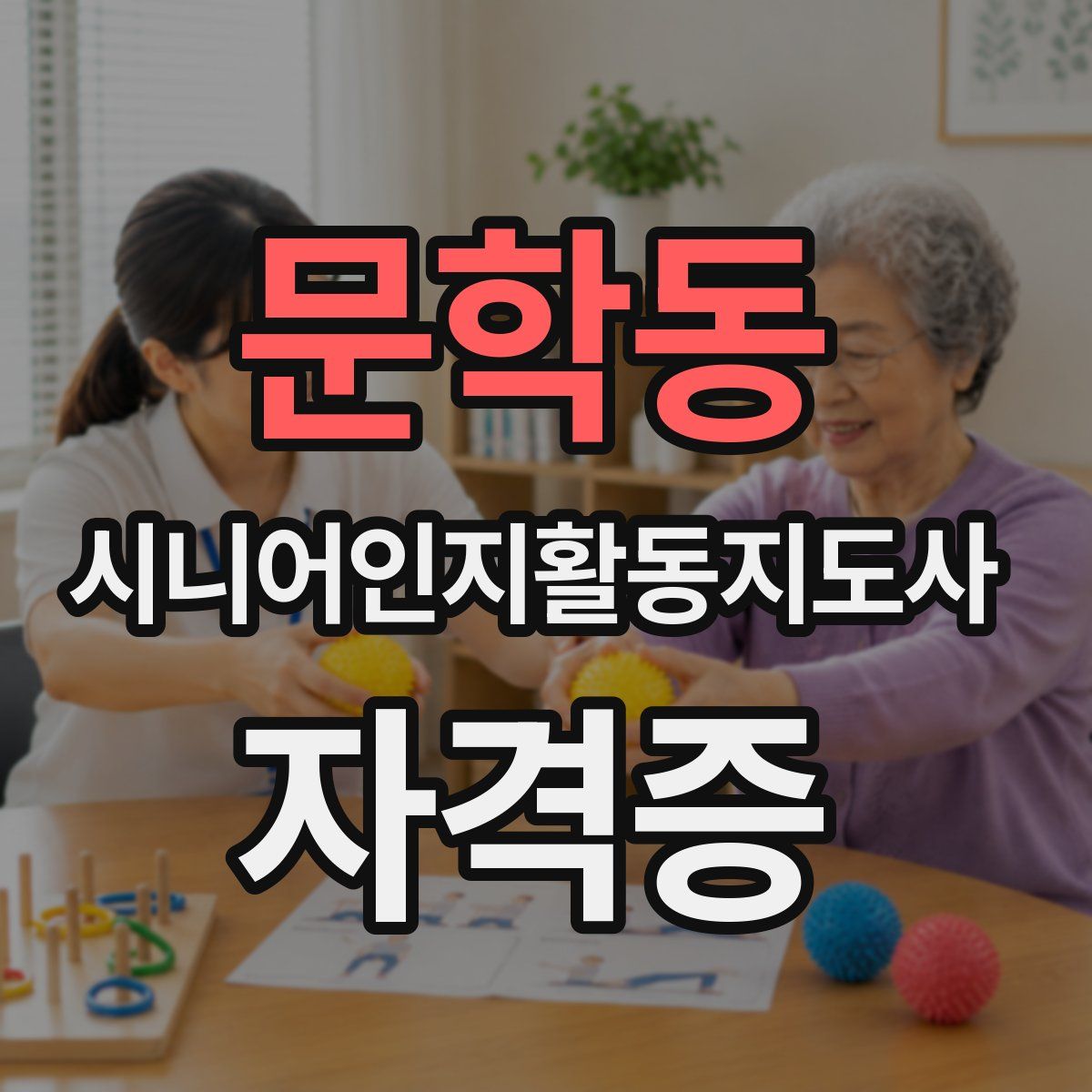 문학동 시니어인지활동지도사 자격증