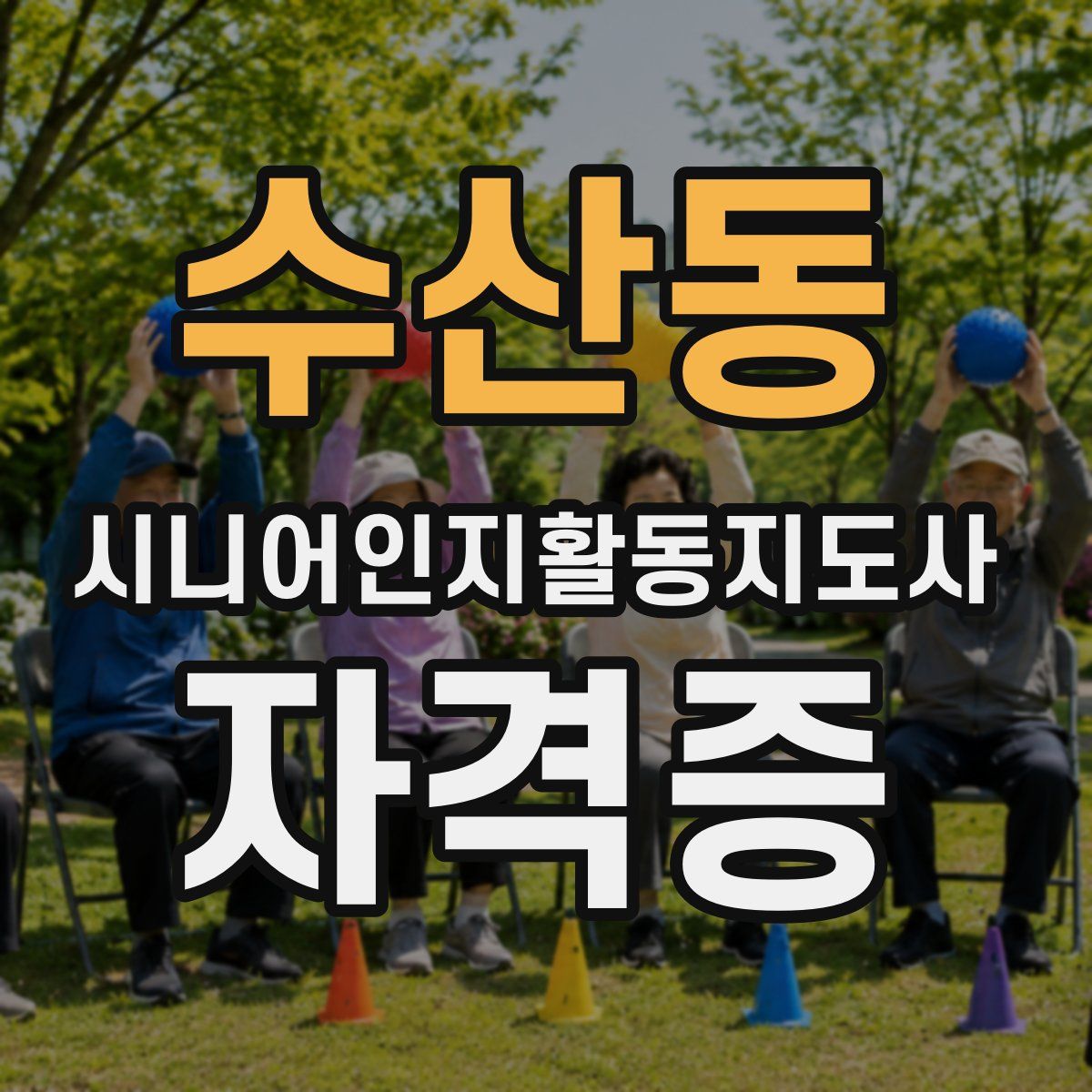 수산동 시니어인지활동지도사 자격증