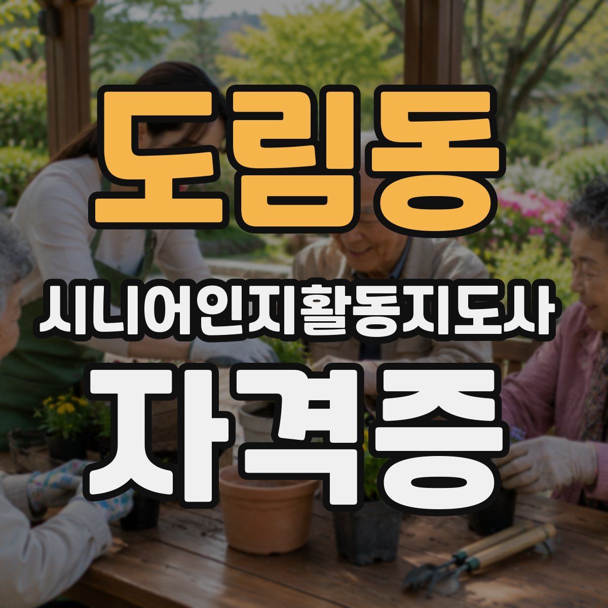 도림동 시니어인지활동지도사 자격증