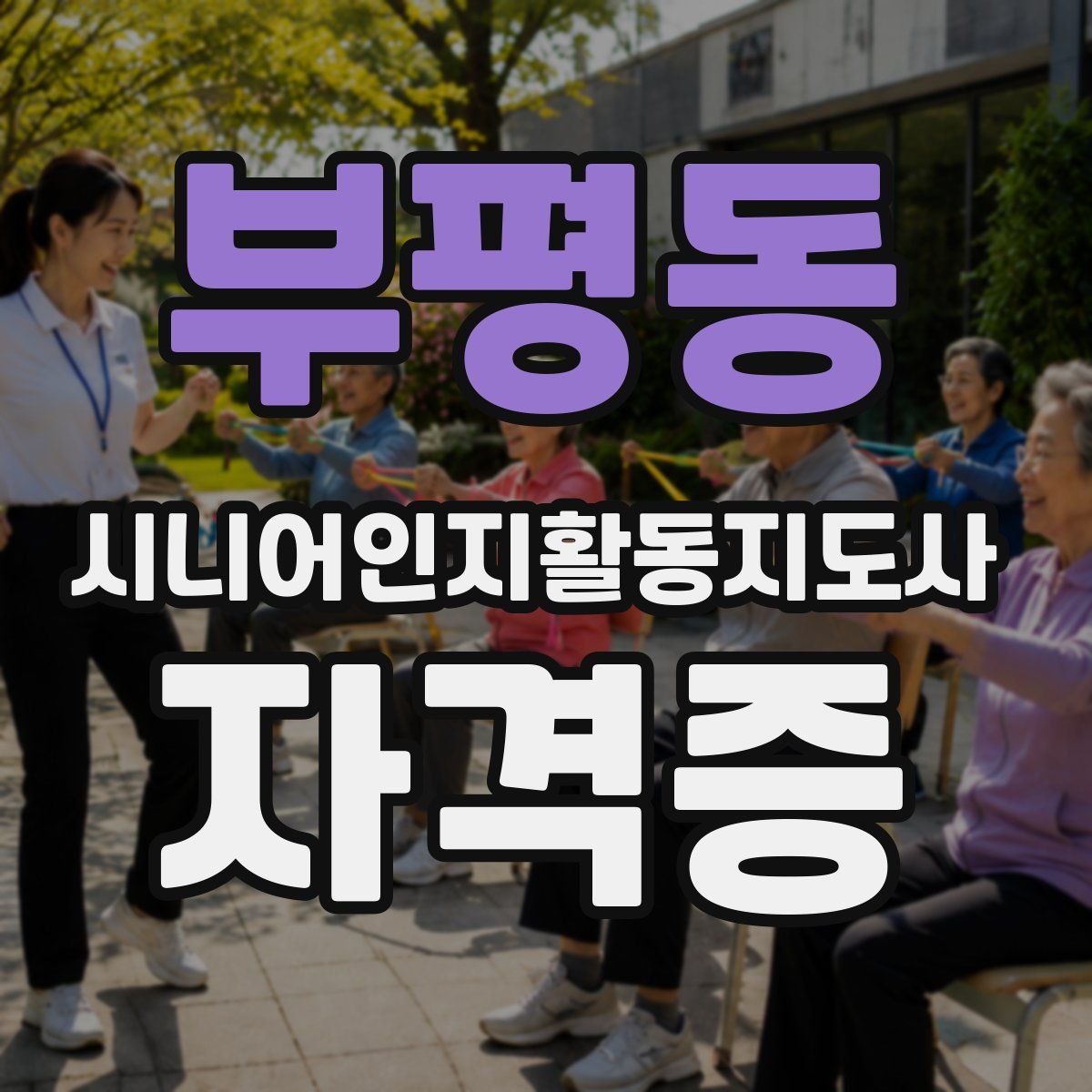 부평동 시니어인지활동지도사 자격증
