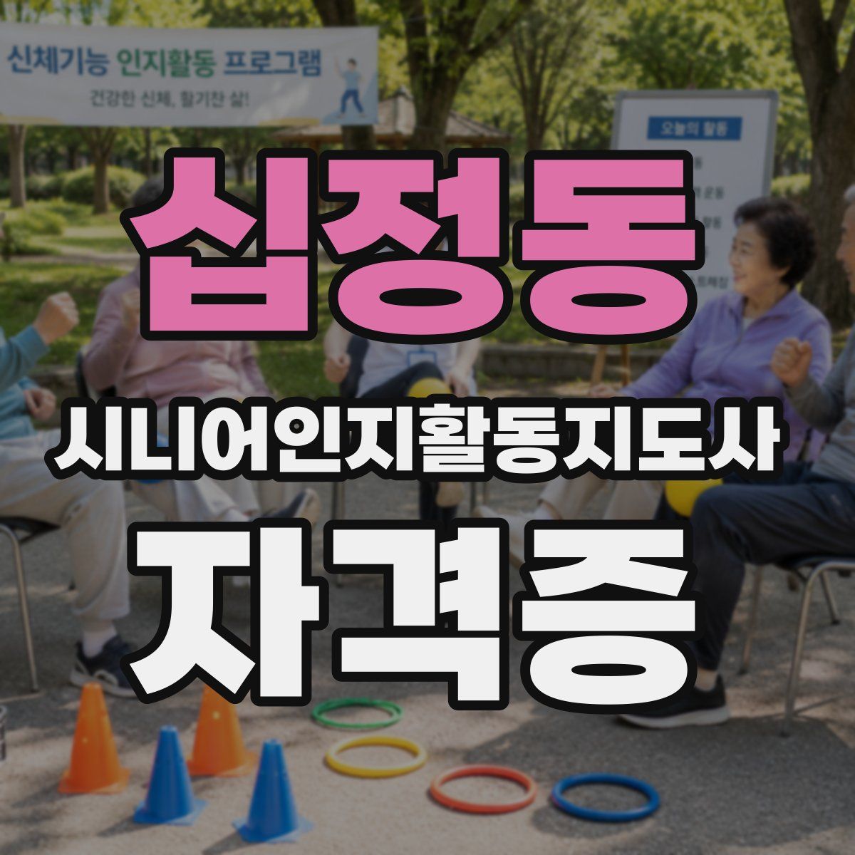 십정동 시니어인지활동지도사 자격증