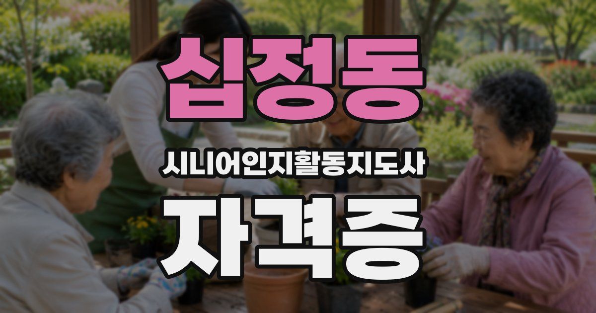 십정동 시니어인지활동지도사 자격증