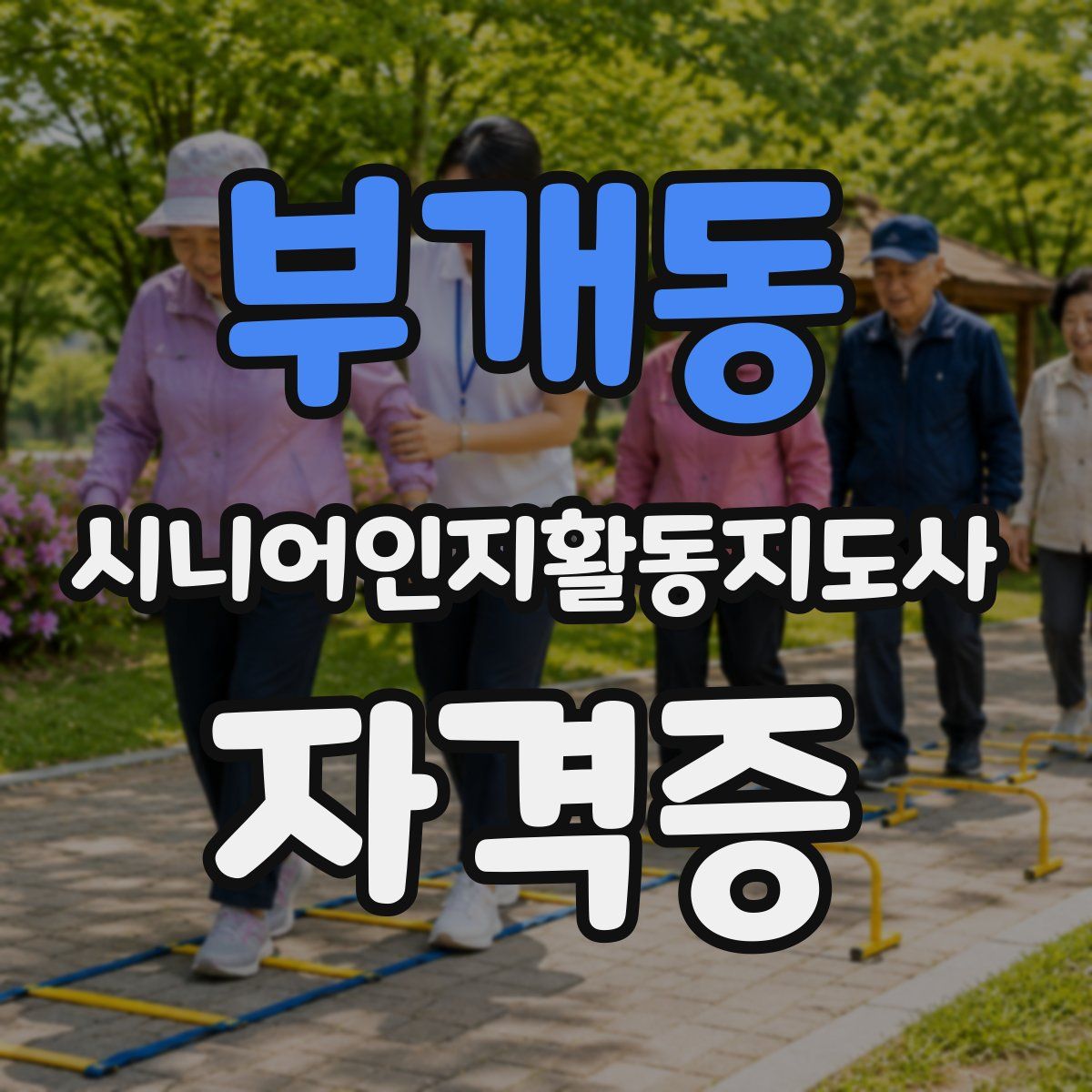 부개동 시니어인지활동지도사 자격증