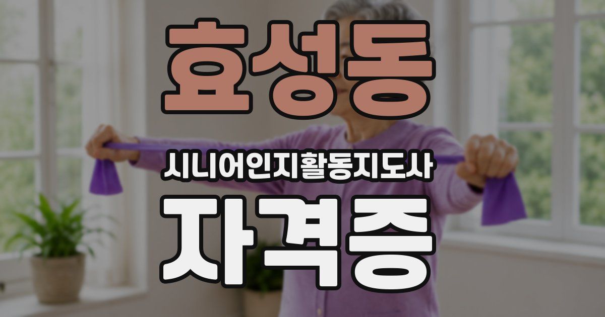 효성동 시니어인지활동지도사 자격증