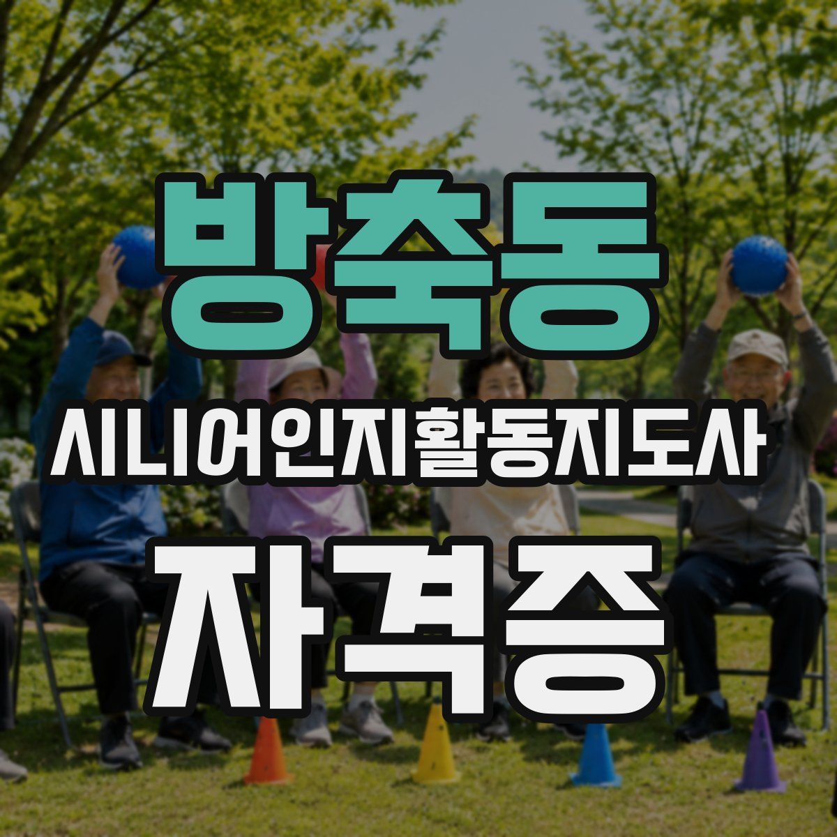 방축동 시니어인지활동지도사 자격증