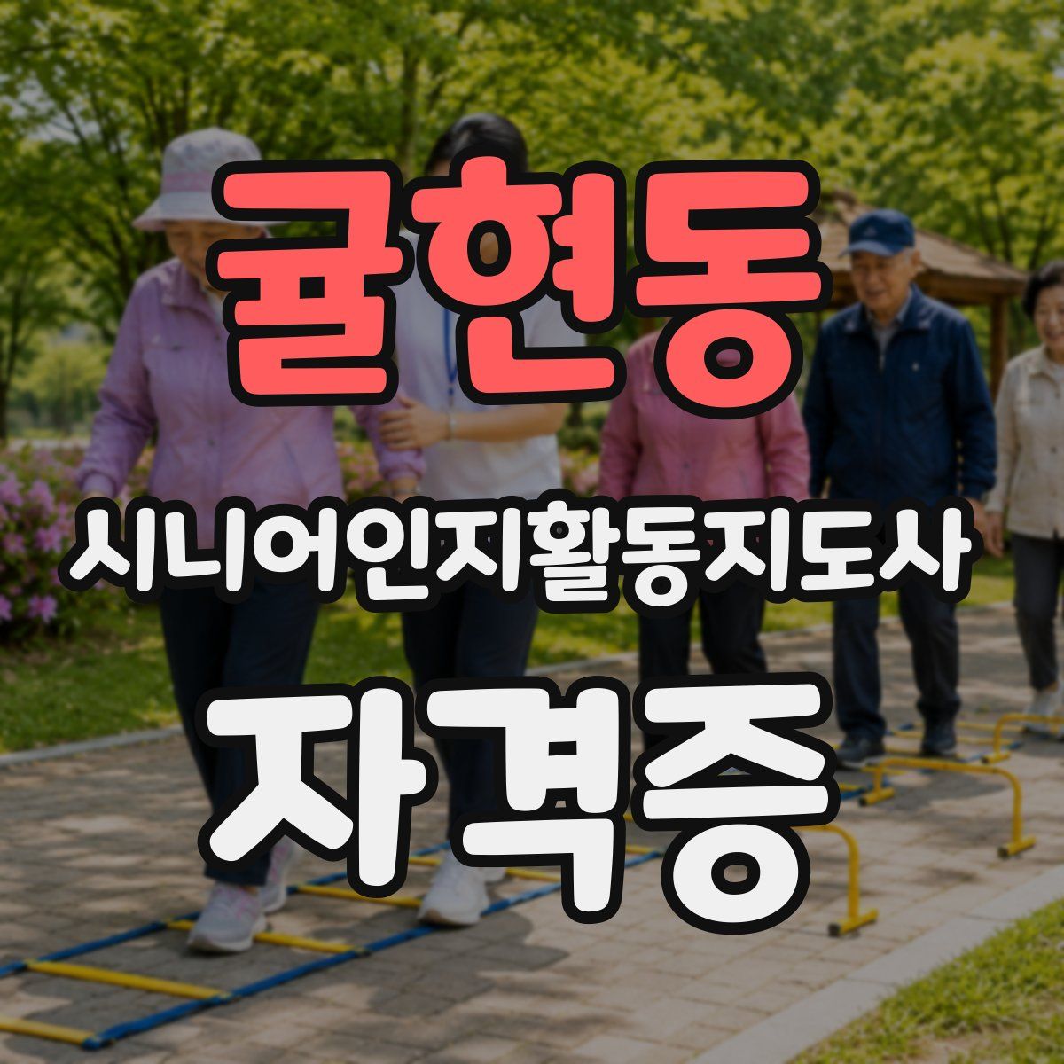 귤현동 시니어인지활동지도사 자격증