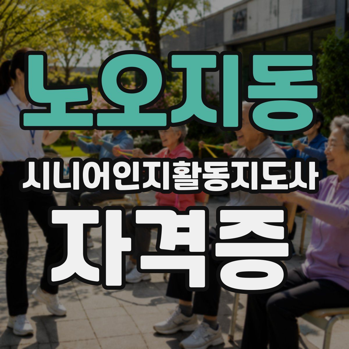 노오지동 시니어인지활동지도사 자격증
