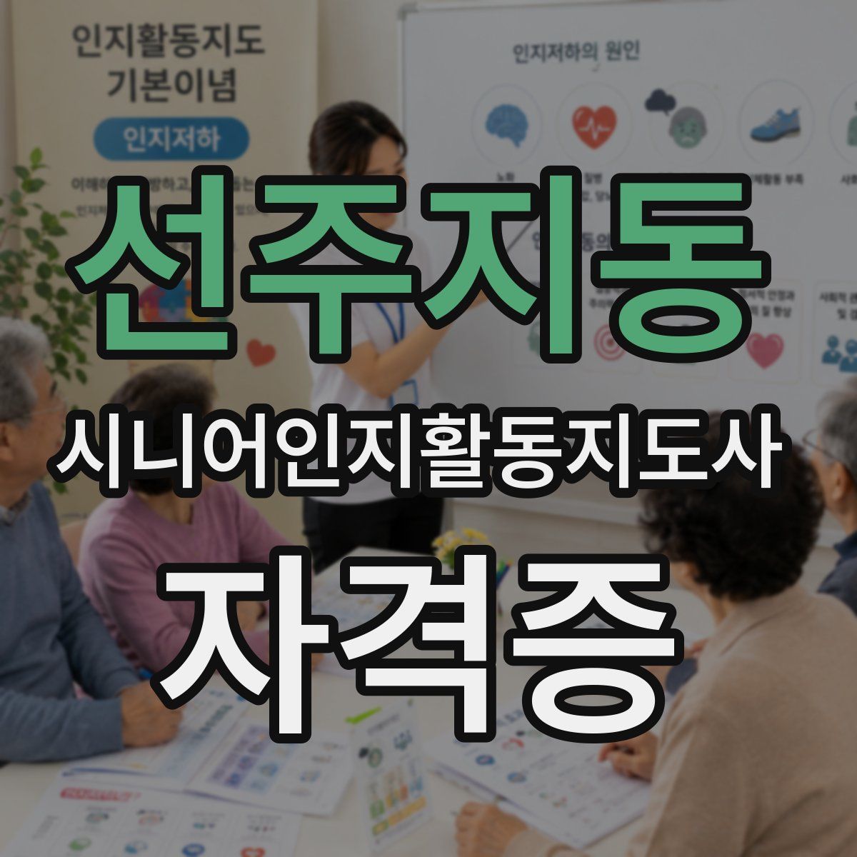 선주지동 시니어인지활동지도사 자격증