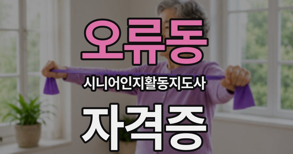 오류동 시니어인지활동지도사 자격증