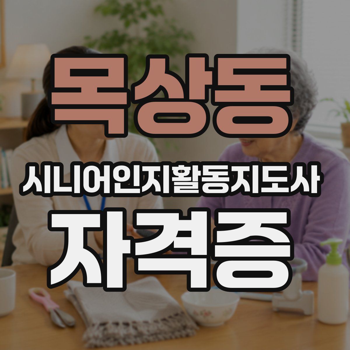 목상동 시니어인지활동지도사 자격증