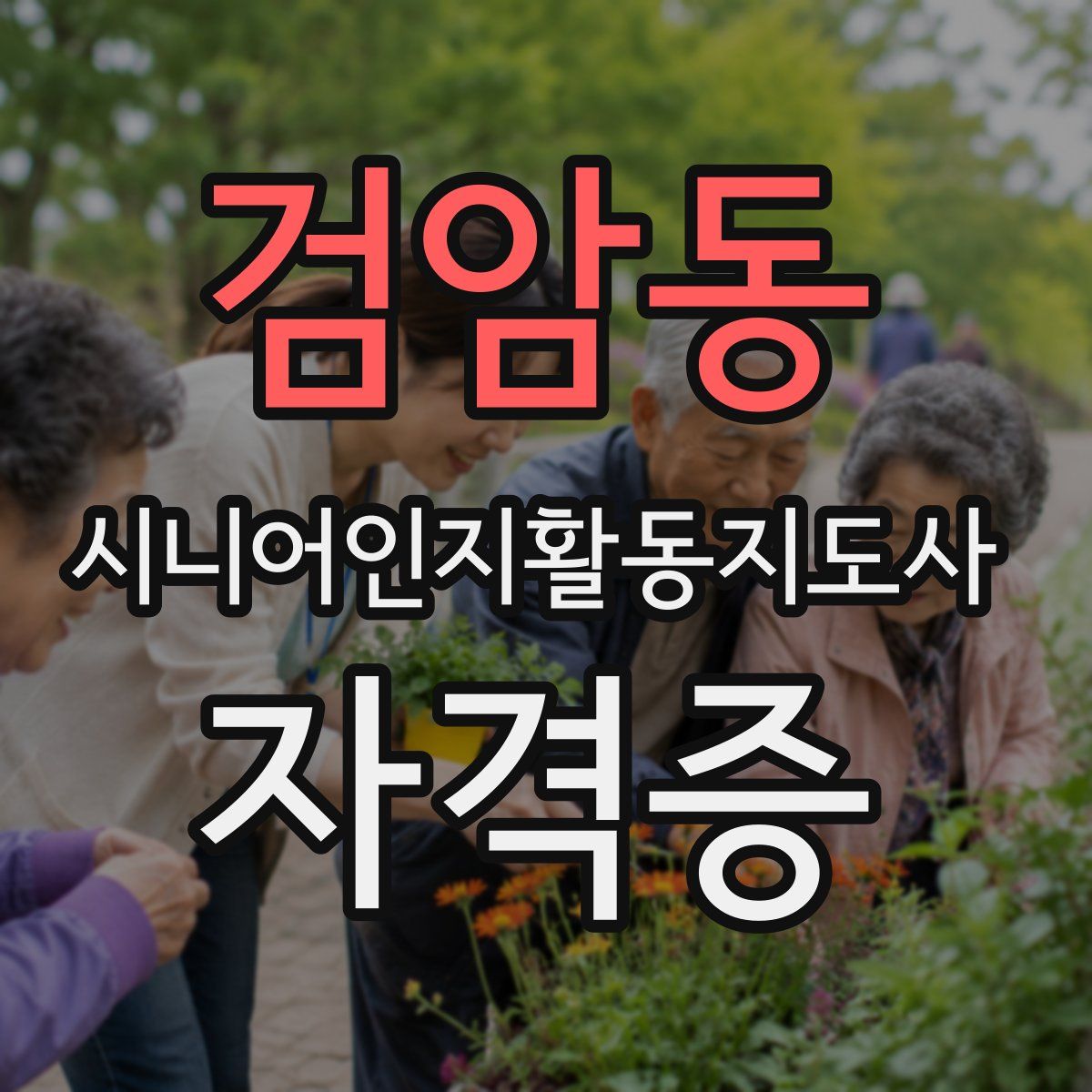 검암동 시니어인지활동지도사 자격증