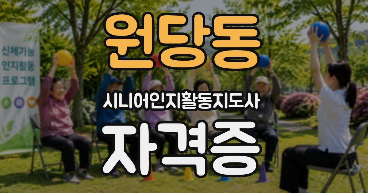 원당동 시니어인지활동지도사 자격증