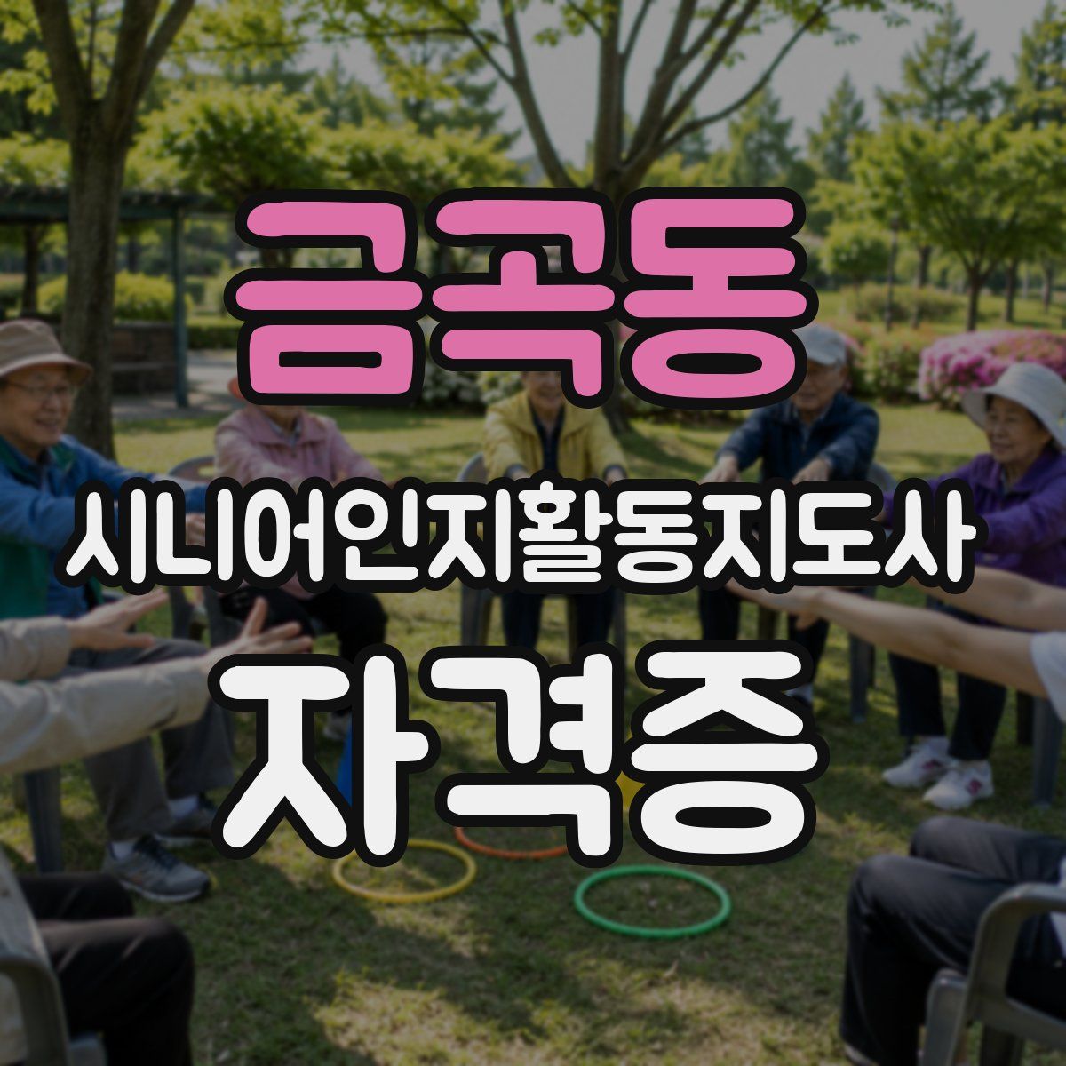 금곡동 시니어인지활동지도사 자격증